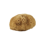 Natural Body Sponge